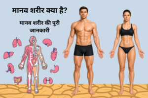मानव शरीर